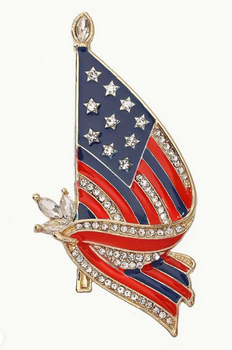 NEW!!! Miss America Flag Pin