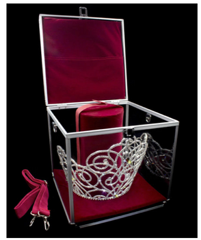 ROYALTY Lucite Carrying Case 3 - with lock and shoulder strap.