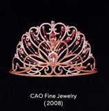 Miss Universe CAO Crown 2008
