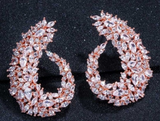 Floral Hoop CZ Drop Luxury Earrings - Silver or Rose Gold