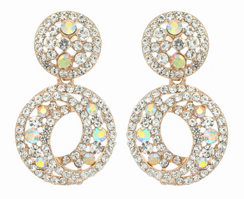 Dust Stoned Drop Pierced Earrings