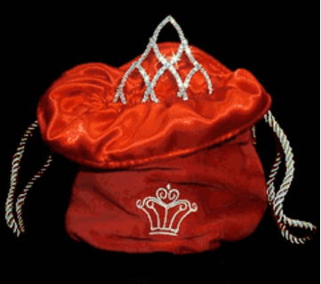 Velvet Tiara Bag - Red