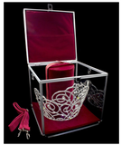 NEW! REGAL Lucite Carrying Case 3 - with lock and shoulder strap.