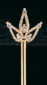 Erica Scepter